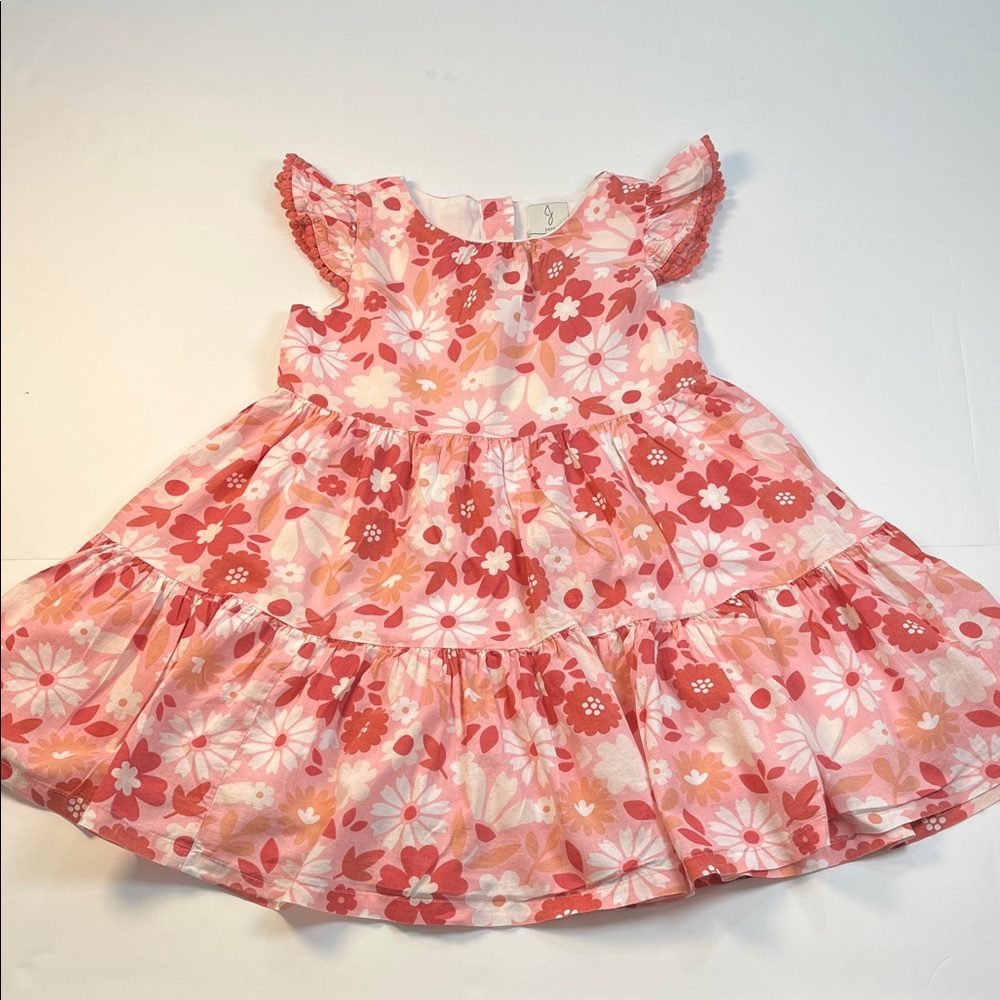 Joie Girls Sz 4 Floral Pink Dress Scoop Neck